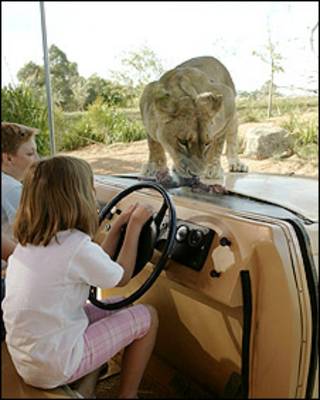 A 'jaula invisível' no zoológico de Weerribe, em Melbourne, Austrália (divulgação)