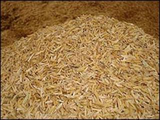 Cáscara de arroz