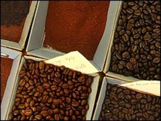Biji kopi