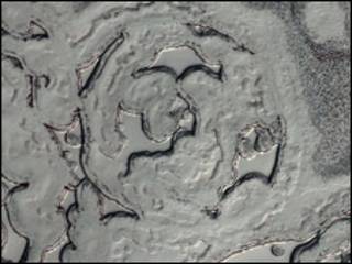 Superfície de Marte (Foto: Nasa)