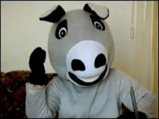 Azeri donkey