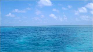 Mar del Golfo de México