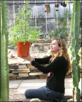 Graciela Rocha y una planta de menta
