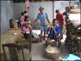 petani padi