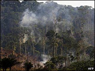 Selva Amazonas