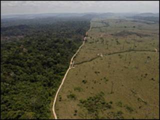 Amazonas