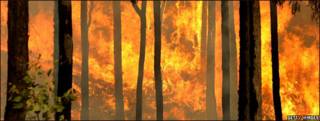 Incendio en Australia