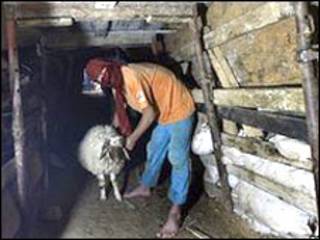 نفق بين مصر وغزة