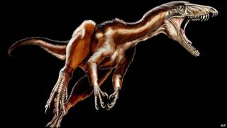 Tawa hallae, nueva especia de dinosaurio encontrada en Nuevo México