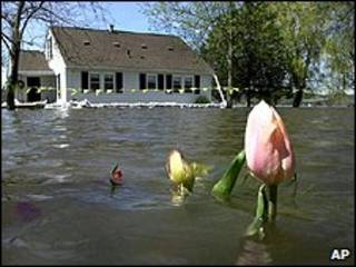 Zona inundada