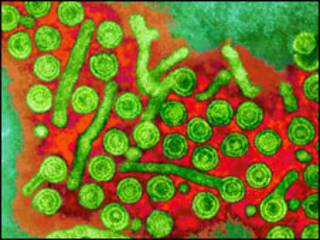 kwayar cutar hepatitis B