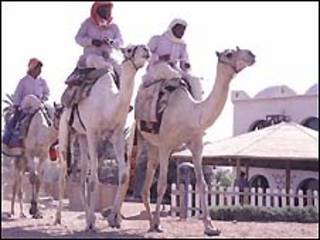 بدو سيناء