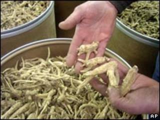 Ginseng
