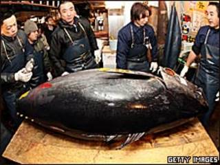 Atún subastado en Tokio