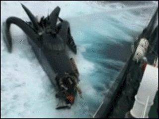 Kapal Sea Shepherd menghalangi pemburu paus