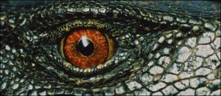 Lagarto de Panay