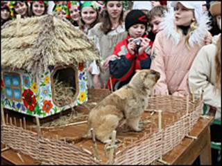 Львівський бабак Мишко.