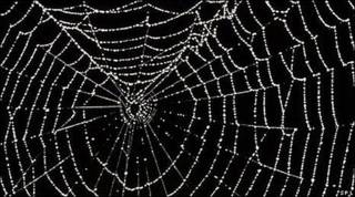 Telaraña
