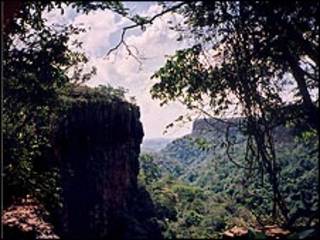 Chapada Dos Guimares, bosque tropical en Brasil.