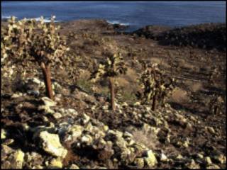 Islas Galápagos