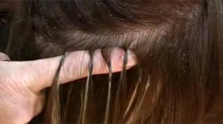 Extensiones de cabello