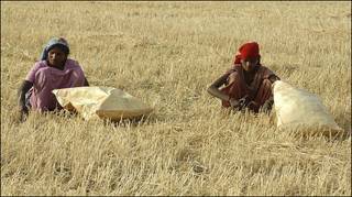 افزایش بهای مواد غذایی