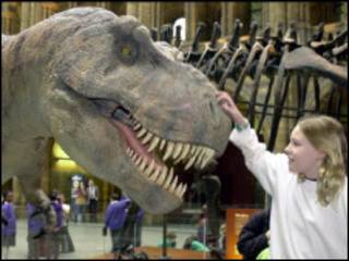 Dinossauro em museu