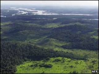 Selva del Amazonas