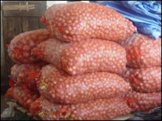 Onion