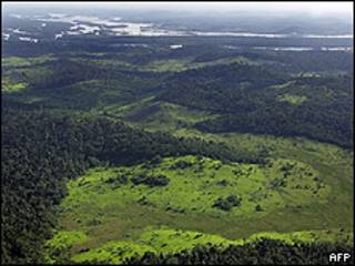 Floresta Amazônica