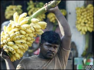 Homem carrega cacho de banana (BBC)