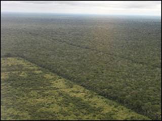 Deforestación del Chaco (Foto: Guyra Paraguay)