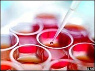 تحقیق روی سلول پایه