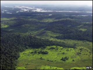 Vista aérea del río Xingú en las inmediaciones de donde se construirá la represa