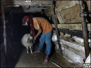 Túnel (arquivo)