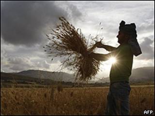 Agricultor en Cisjordania