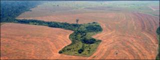 Deforestación en el Amazonas