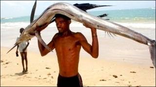 Kismaayo