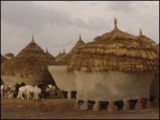 Wasu rumbunan ajiye abinci a Zamfara
