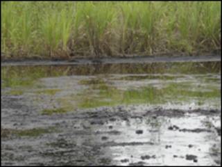 Malalar mai a yankin Niger Delta na ci gaba da gurbata muhalli