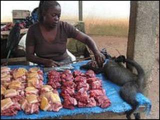 Mercado de carne de caza en Africa