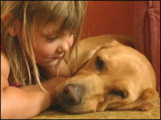 Rebecca Farrar e a labradora Shirley