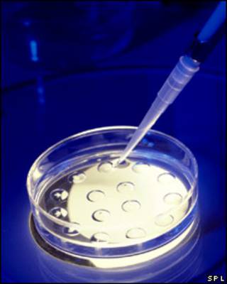 Fecundación in vitro