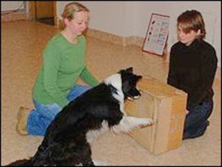 Cada dono demonstrou experiências simples ao seu cão (foto: Clever Dog Lab)