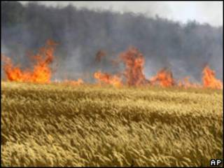 Incêndio próximo a campo de trigo