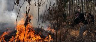 Un hombre intenta apagar el fuego en el Parque Nacional Tunari, en Cochabamba
