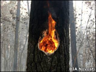 Горящее дерево в лесу в районе Тольятти (1 августа 2010 года)