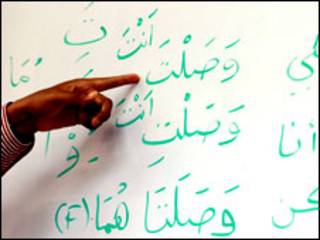 اللغة العربية