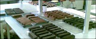 Ladrillos con lana y componentes de algas (Gentileza: Carlos Rivera y Carmen Galán, Universidad de Sevilla)