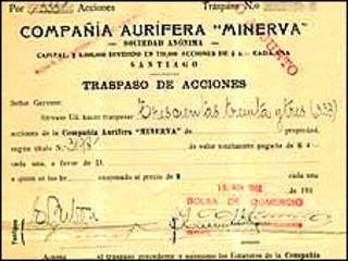 Documento bolsa